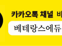카카오채널.png