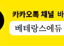 카카오채널.png